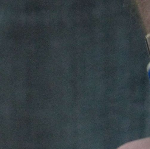 Volksentscheid ins Grundgesetz